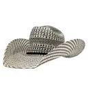 Atwood El Paso Straw Hat